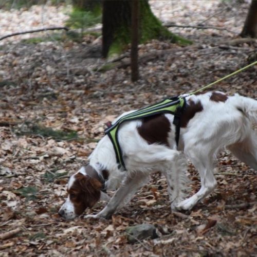 Auf heißer Spur Auf heißer Spur